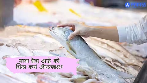 Fish Buying Tips