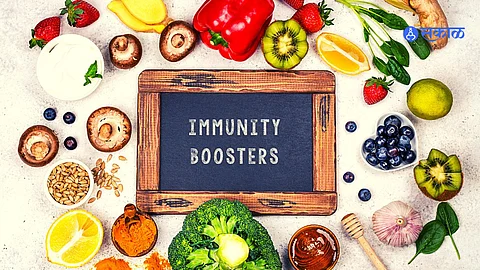 Immunity Booster : रोगप्रतिकारक शक्ती वाढवण्यासाठी उपयुक्त आहे झिंक; ‘या’ खाद्यपदार्थांचा आहारात करा समावेश