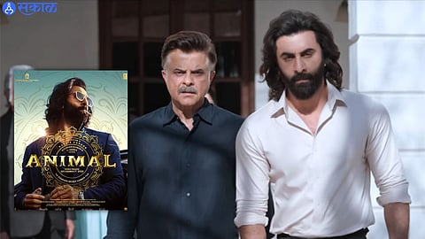 Animal Box Office Collection Day 2: बॉक्स ऑफीसच्या निवडणुकीत अॅनिमलने मारली बाजी! आकडा 100 कोटींच्या पार