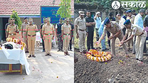 District Superintendent of Police M. the prince In the second photo, a police officer paying his last respects to Viru Shwana. In the last photograph, Viru is being cremated.