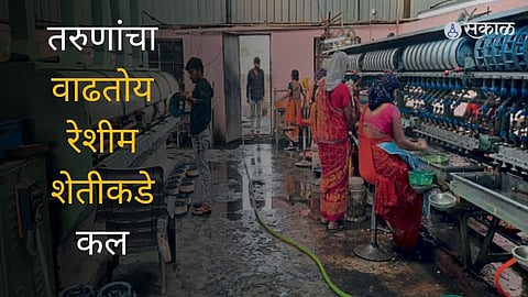 youth move towards silk farming agri business textile industry demand of silk