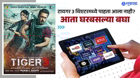 Tiger 3 OTT Release:
