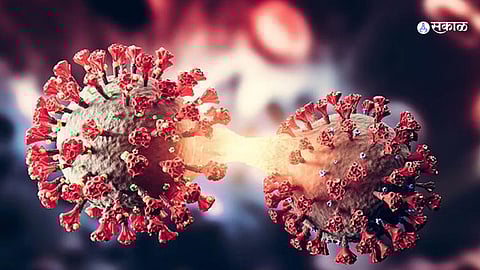 Corona Update maharashtra