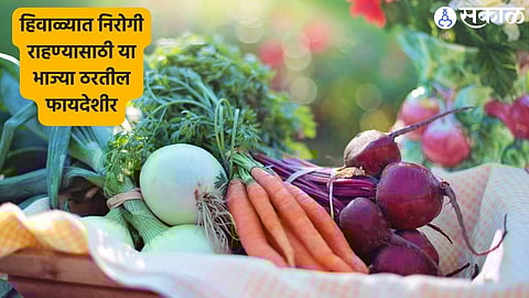 Health Care News: हिवाळ्यात निरोगी राहण्यासाठी या भाज्या ठरतील फायदेशीर; लगेच करा रोजच्या जेवणात समावेश