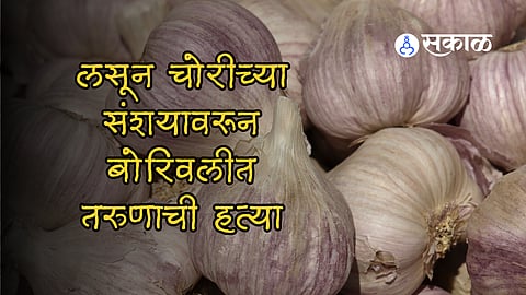 Mumbai Crime News : लसूण चोरीच्या संशयावरून बोरिवलीत तरुणाची हत्या, दुकानदाराविरुद्ध गुन्हा दाखल