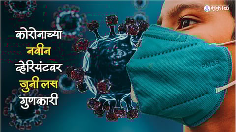 Corona JN.1 Virus WHO