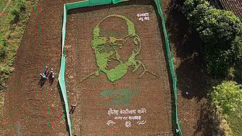 Sharad Pawar Grass Painting