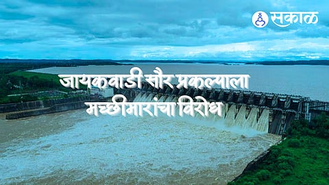 Jayakwadi Solar Project: 'जायकवाडी सौर प्रकल्पास मच्छीमारांचा विरोध', निसर्ग, मानवी जीवितास धोक्याचा इशारा