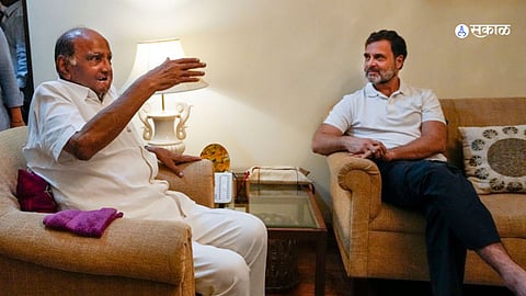 Sharad Pawar and Rahul Gandhi Meeting