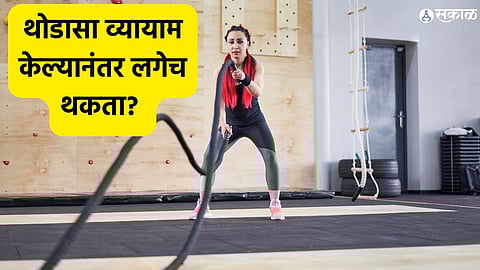 Health Care News: थोडासा व्यायाम केल्यानंतर लगेच थकता? स्टॅमिना वाढवण्यासाठी खा हे पदार्थ