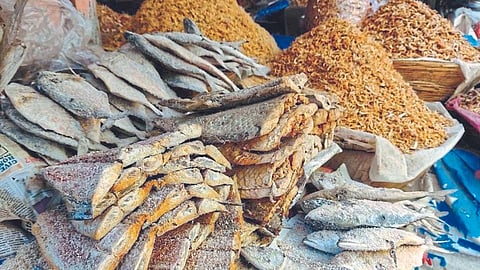 Ratnagiri Fish Market