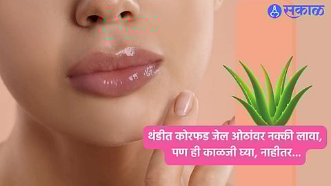 Lip Care Tips