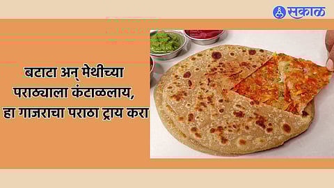 Carrot Paratha Recipe