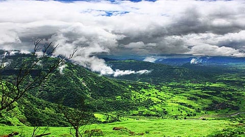 Konkan Special Story