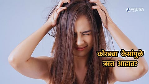 Hair Care Tips