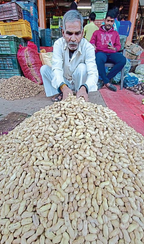 लसूण, टोमॅटो, शिमला मिरची, घेवड्याच्या भावात वाढ