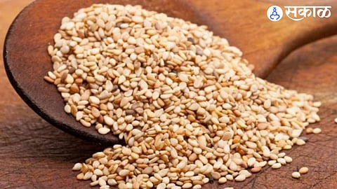 Sesame Seeds