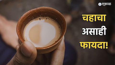 Tea Benefits research