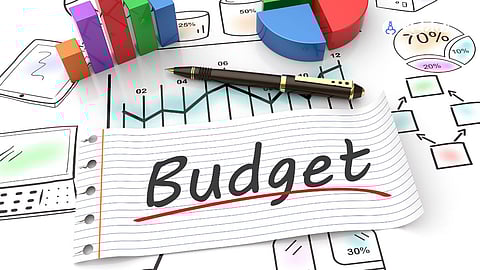 Interim Budget 2024 : अंतरिम अर्थसंकल्प आणि लेखानुदान