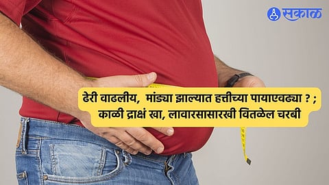 Weight Loss Tips