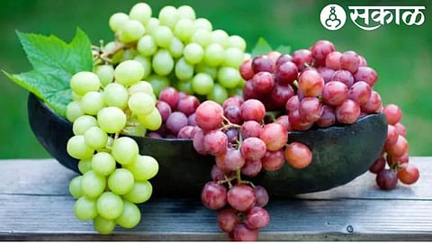 Nashik Grapes