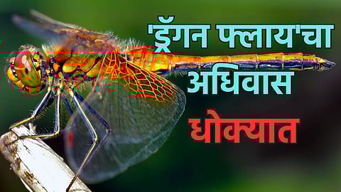 Paschim Ghat Biodiversity