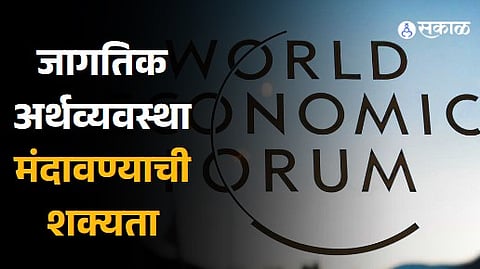 Chief economists expect global economy to weaken in 2024