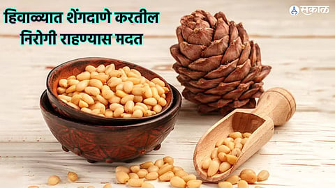 Peanuts In Winter : हिवाळ्यात शेंगदाणे करतील निरोगी राहण्यास मदत; जाणून घ्या याचे आश्चर्यकारक फायदे