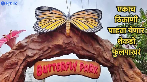 Butterfly Park : एकाच ठिकाणी पाहता येणार शेकडो फुलपाखरं; 'या' ठिकाणी सुरू झालं खास बटरफ्लाय पार्क! वाचा सविस्तर