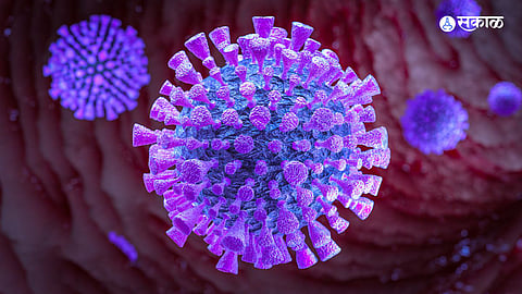 Solapur Corona Update