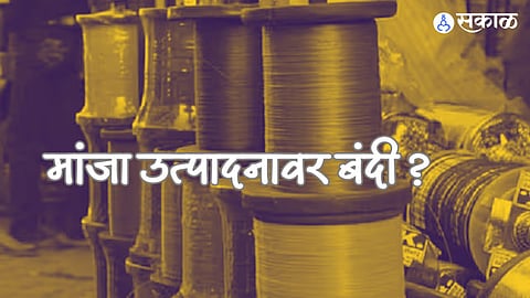 Manja Production Ban: मांजा उत्पादनावर मर्यादा आणू शकतो का? उच्च न्यायालयाकडून मानक ब्युरोला उत्तर दाखल करण्याचे आदेश