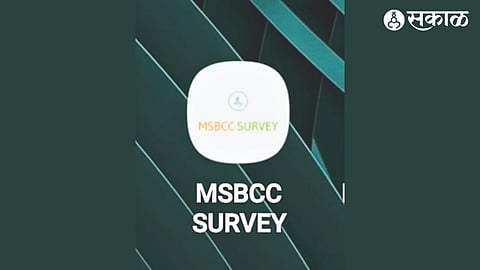 MSBCC Survey