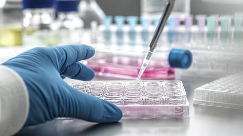 Nipah vaccine discovered