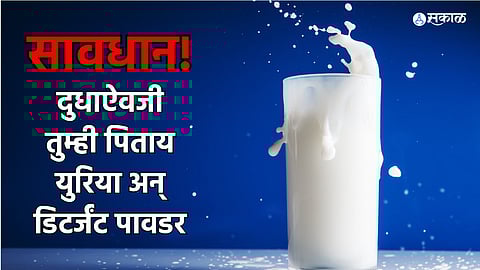Milk Adulteration in Maharashtra