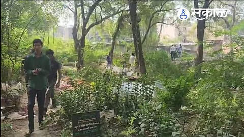 The baby's body was removed from the Jalgaon graveyard