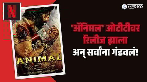 animal movie on ott netflix netizens slam netflix and animal movie team ranbir kapoor