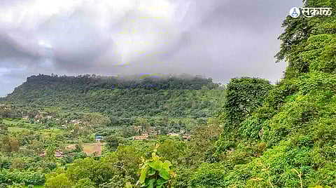 pavangad