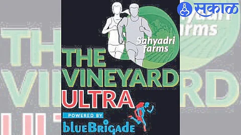 Sahyadri Vineyard Ultra Run : ‘सह्याद्री’च्या शिवारात विनियार्ड अल्ट्रा मॅरेथॉन; मोहाडीत 14 फेब्रुवारीला प्रारंभ