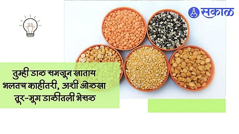 how to identify adulteration in pulses in marathi