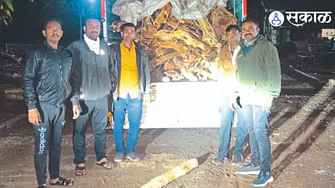 Timber seized by patrolling team of Forest Department.