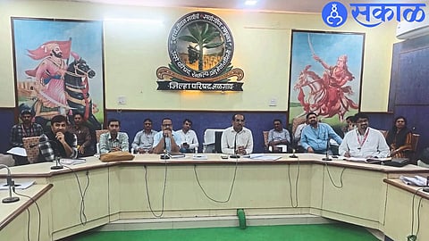 Chief Executive Officer Ankit while guiding the review meeting