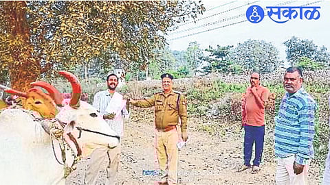 RPF giving notice to herdsmen who graze cattle in railway limits.