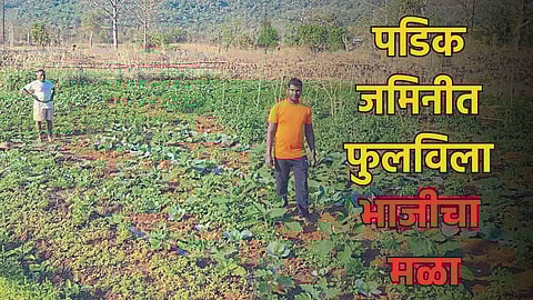 Joshi Family Tulsi Village