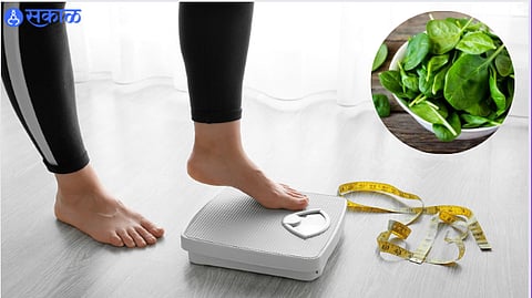 Health Care News : हिवाळ्यात वजन कमी करायचंय ? मग आजच तुमच्या आहारात या भाज्यांचा समावेश करा