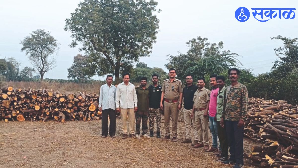 Officers and staff with illegal timber stocks seized in forest department raids.