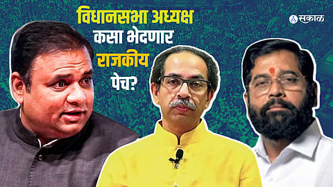 MLA Disqualification Case Result