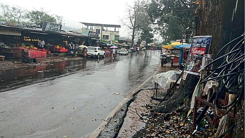 raigad unseasonal rain update mango cashew hit climate change health