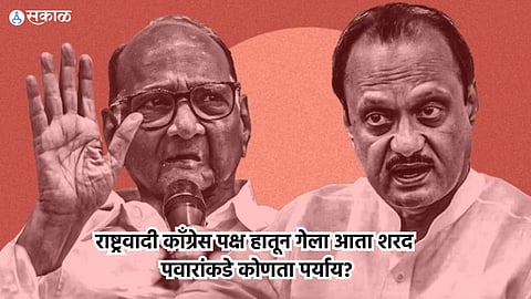 NCP Party and Symbol