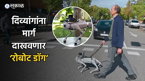 Robot Guide Dog Tefi