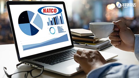 share market investment pharma sector stock choosing natco pharma